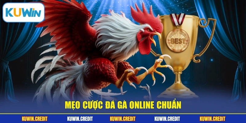 Mẹo cược đá gà online chuẩn
