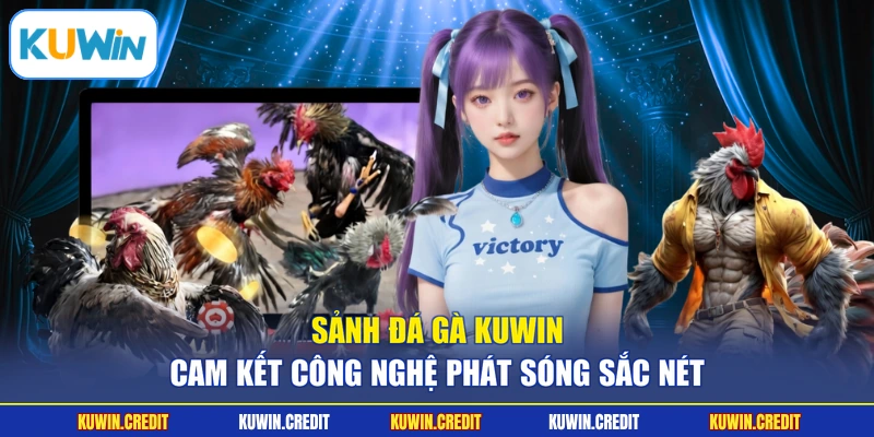 Sảnh đá gà KUWIN cam kết công nghệ phát sóng sắc nét